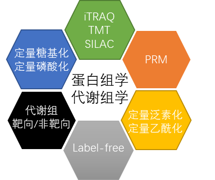 二手 Thermo Q E Plus 高分辨液質(zhì)聯(lián)用儀