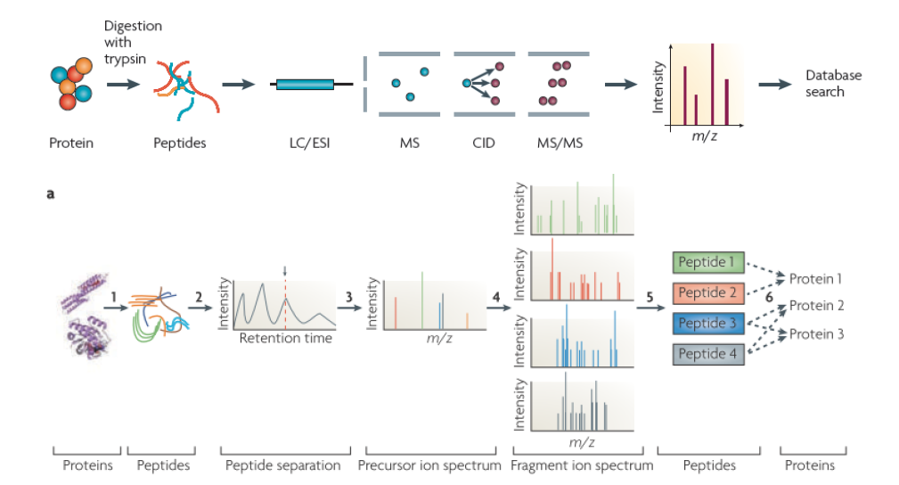 二手 Thermo Q E Plus 高分辨液質(zhì)聯(lián)用儀