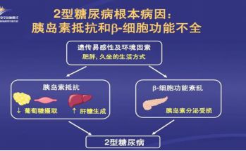 重视！中国糖尿病患者激增，竟然与肥胖息息相关！