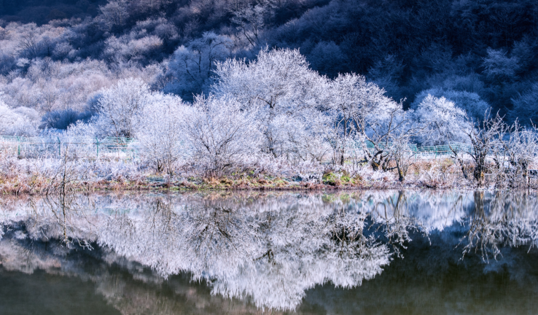 怎么玩冬天该有一次这样的徒步旅行走进神农架徒步林海雪地赏美景