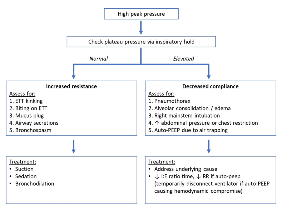 呼吸机模式怎么调节机械通气的基本模式_https://www.jmylbn.com_新闻资讯_第22张