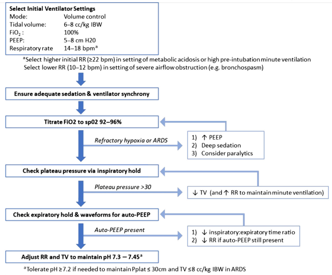 呼吸机模式怎么调节机械通气的基本模式_https://www.jmylbn.com_新闻资讯_第19张