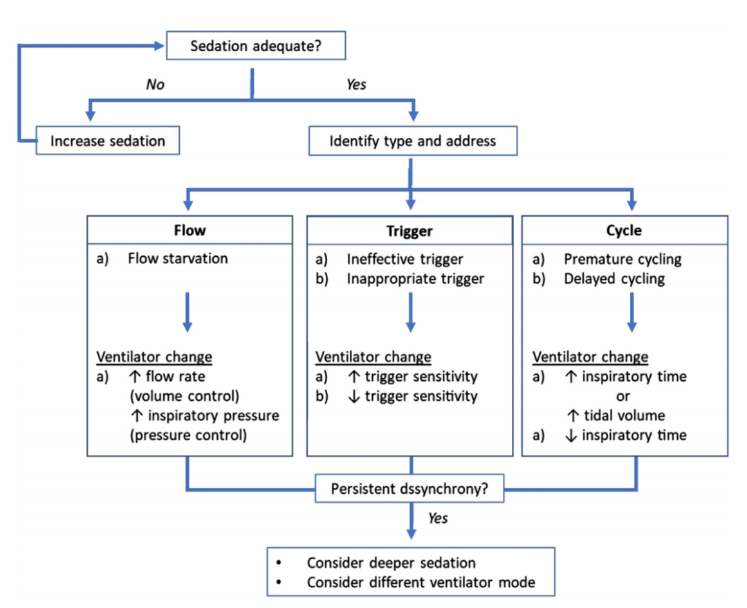 呼吸机模式怎么调节机械通气的基本模式_https://www.jmylbn.com_新闻资讯_第23张