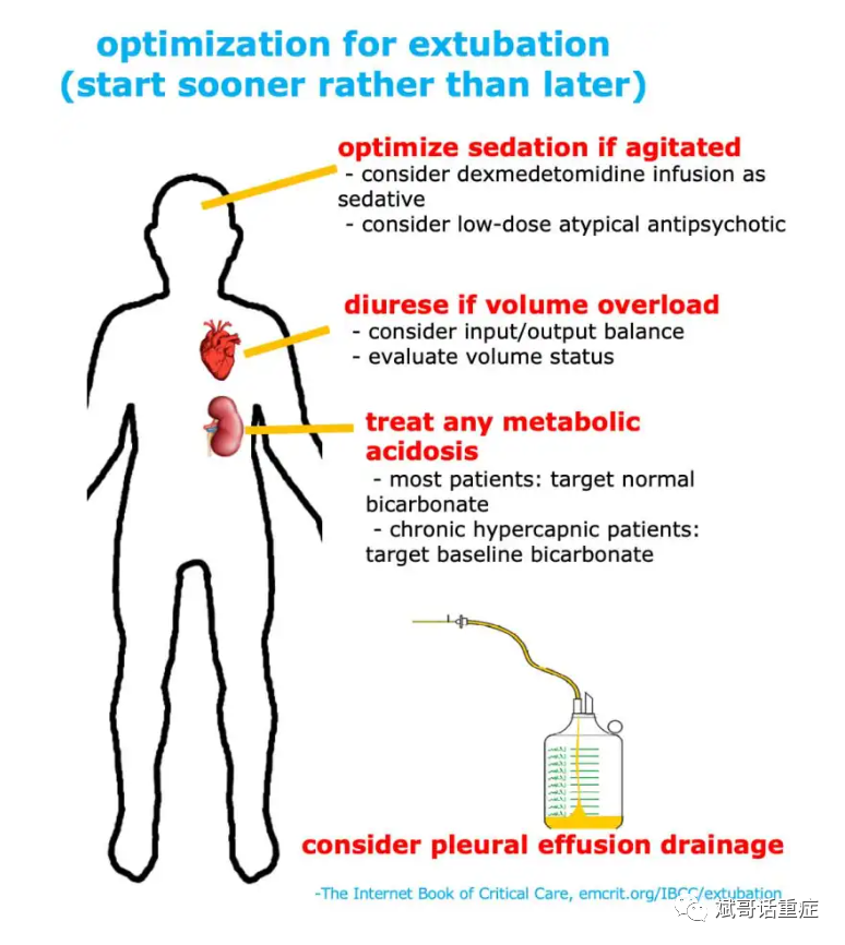 呼吸机怎么准备如何进行呼吸机撤机_https://www.jmylbn.com_新闻资讯_第2张