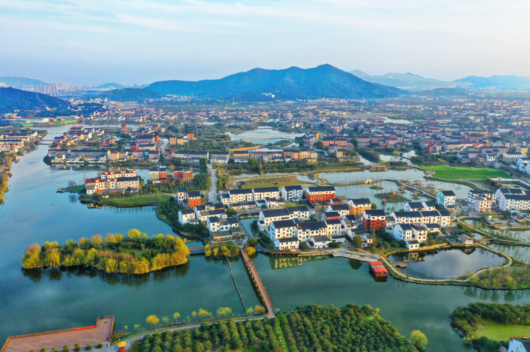 临平4个村入选浙江省善治示范村名单出炉