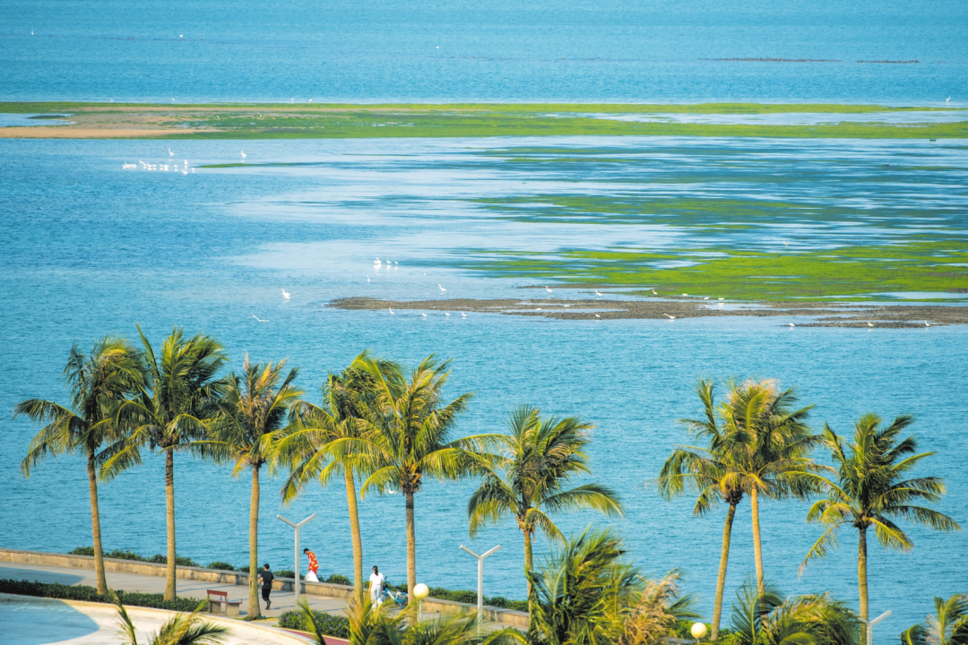 广州市区出发!未来或可游船到海南,西沙群岛!