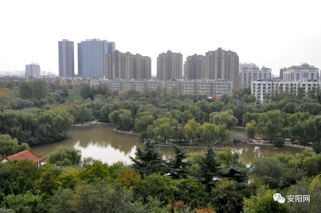 安阳规划 2021年安阳计划营造林9600公顷