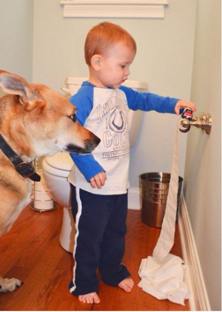 狗狗和小主人在一起的有愛畫面，太可愛啦 寵物 第1張