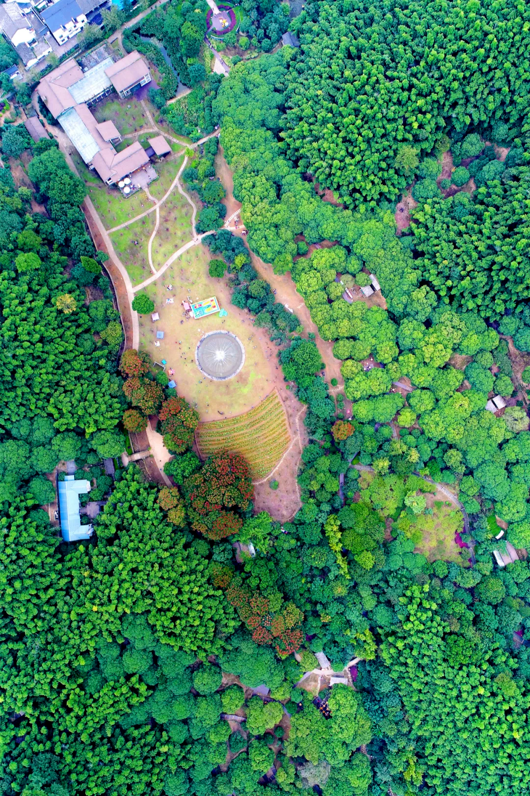 微信图片_20230619180249.png