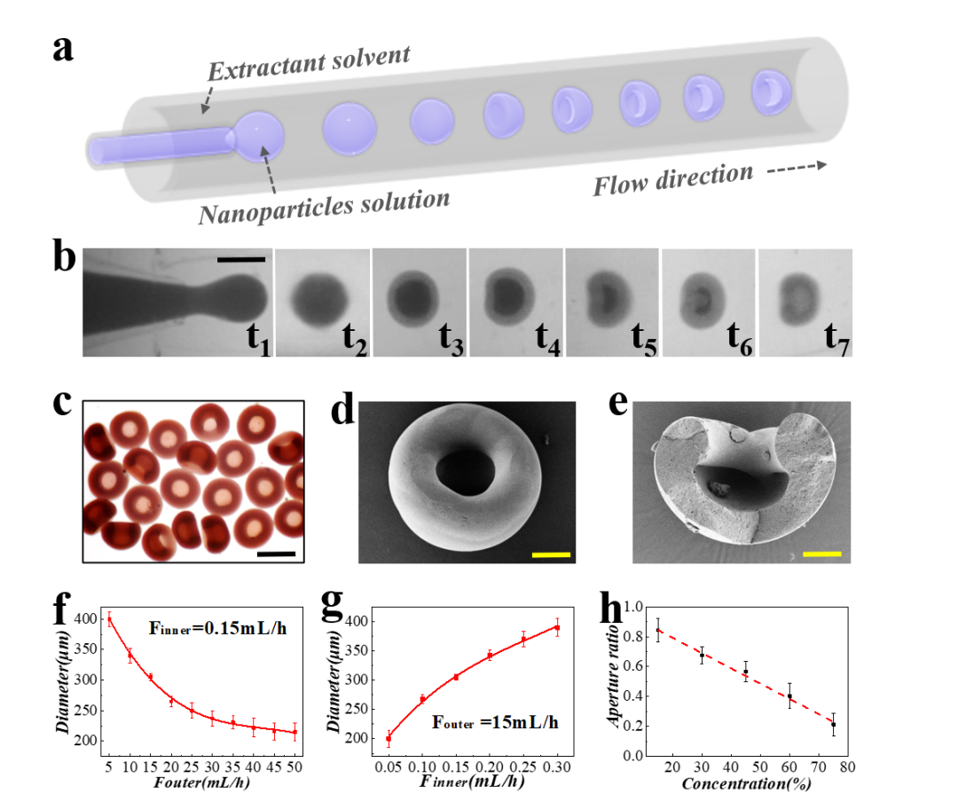 南京大学鼓楼医院赵远锦教授课题组：受爬山虎启发的药物微载体新进展的图2