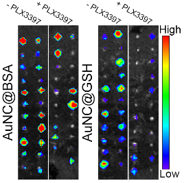 引流器排泄怎么用Research｜四川大学高会乐教授团队脑靶向纳米递药系统的脑排泄机制新进展_https://www.jmylbn.com_新闻资讯_第8张