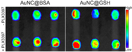 引流器排泄怎么用Research｜四川大学高会乐教授团队脑靶向纳米递药系统的脑排泄机制新进展_https://www.jmylbn.com_新闻资讯_第6张