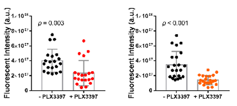 引流器排泄怎么用Research｜四川大学高会乐教授团队脑靶向纳米递药系统的脑排泄机制新进展_https://www.jmylbn.com_新闻资讯_第9张