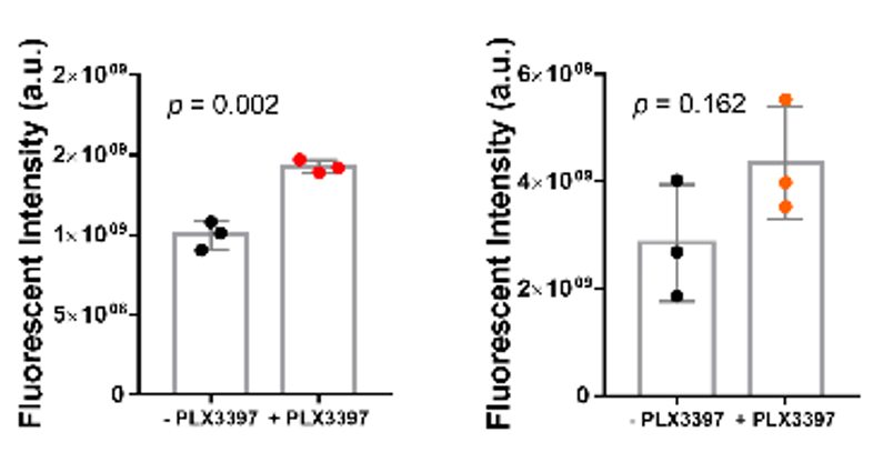 引流器排泄怎么用Research｜四川大学高会乐教授团队脑靶向纳米递药系统的脑排泄机制新进展_https://www.jmylbn.com_新闻资讯_第7张