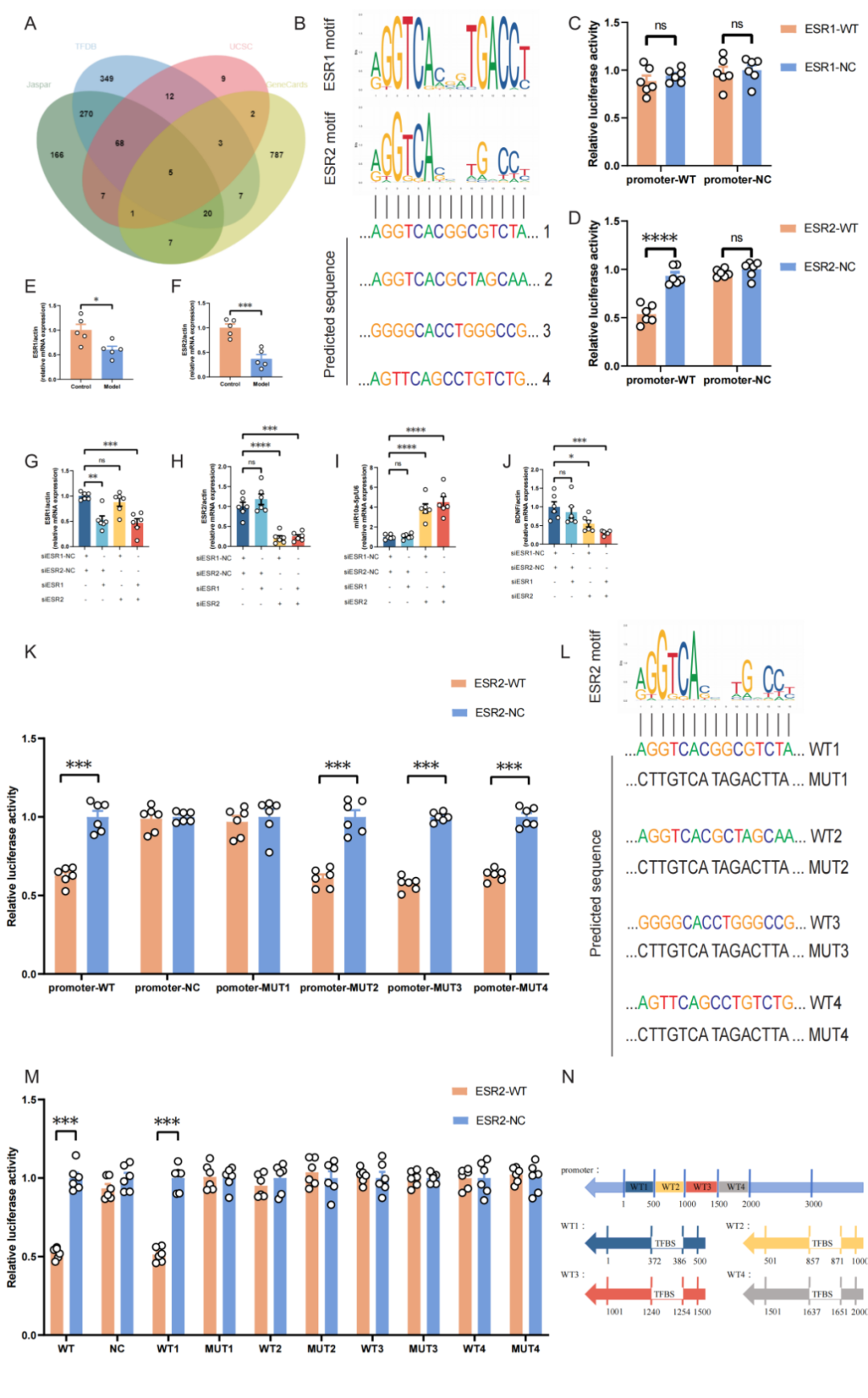 ESR在医学上什么意思Research｜关注女性心理健康：新乡医学院第二附属医院杜洋和中央民族大学程勇课题组发现产后抑郁症发生的新机制_https://www.jmylbn.com_新闻资讯_第8张