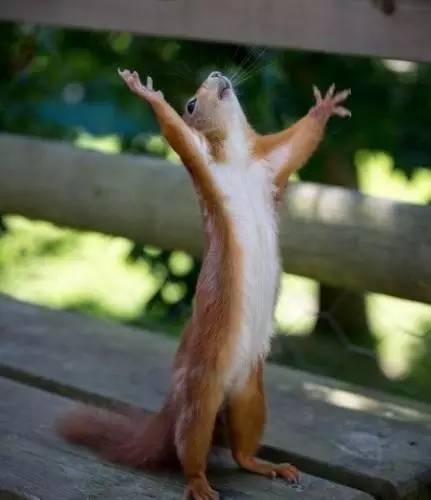 新规来了如何豁出功夫和朋友圈广告狂较劲