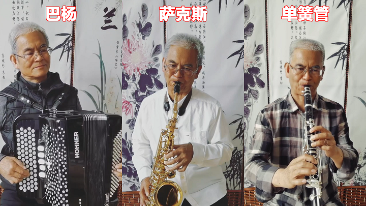 适合老年人学的乐器