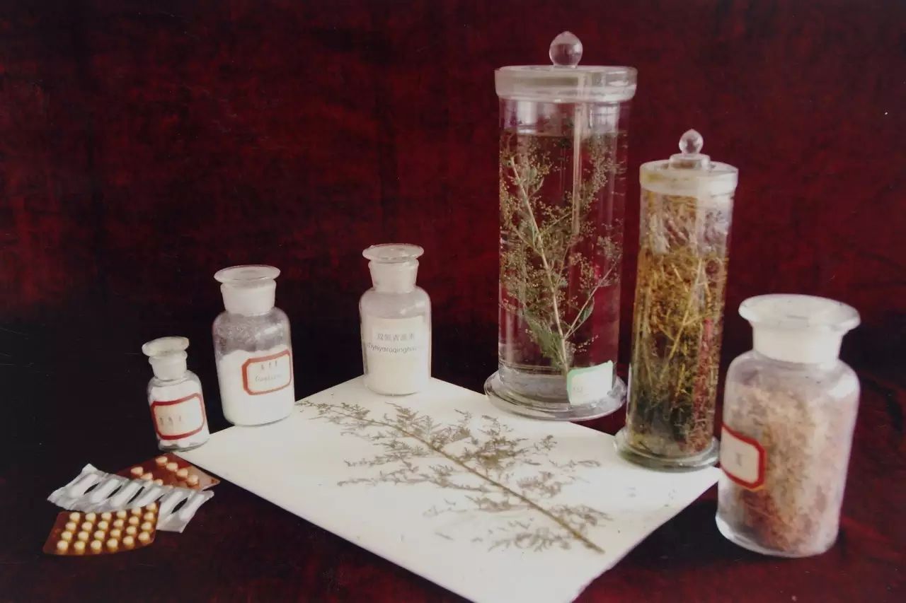 青蒿素标本,青蒿素,青蒿素制品