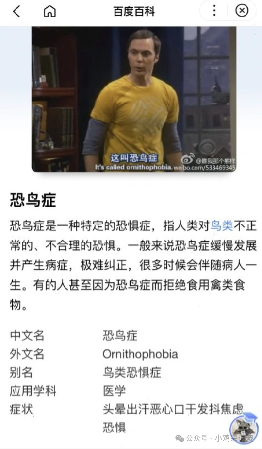 户外直播鹦鹉突然扑身上主播被吓到拍飞鹦鹉网友这是恐鸟症