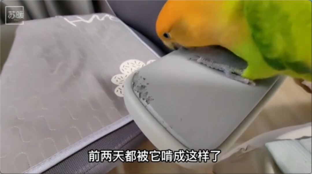 想着孩子终究是个孩子,@sun苏暖当时觉得小鸡就长得800个心眼子一样.