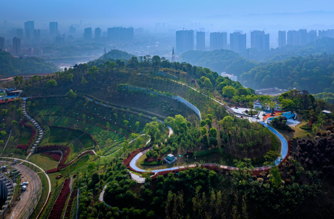 萍乡市乡村振兴局 区县动态 典型案例丨青山镇从黑到绿的变奏
