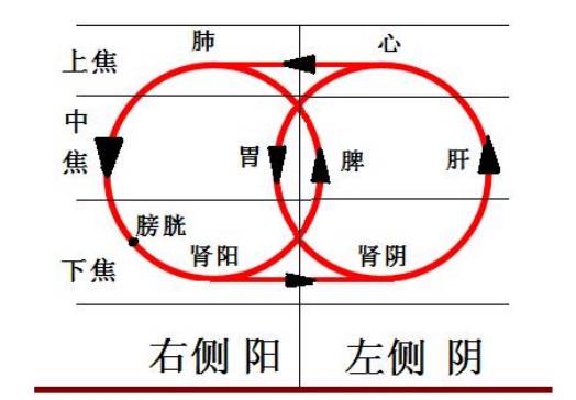为什么心是钩脉《太素脉秘诀》把脉算命法_https://www.jmylbn.com_新闻资讯_第4张