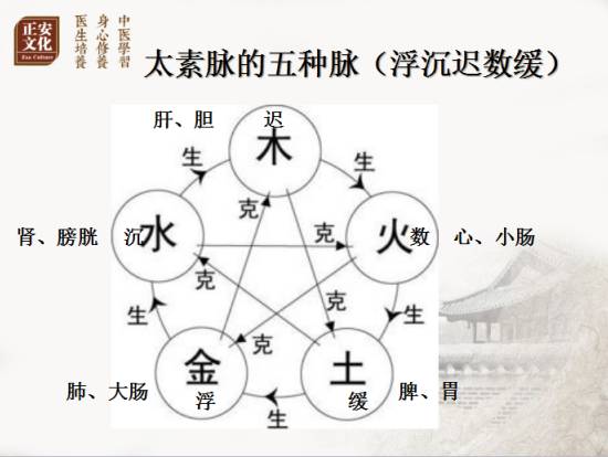 为什么心是钩脉《太素脉秘诀》把脉算命法_https://www.jmylbn.com_新闻资讯_第12张