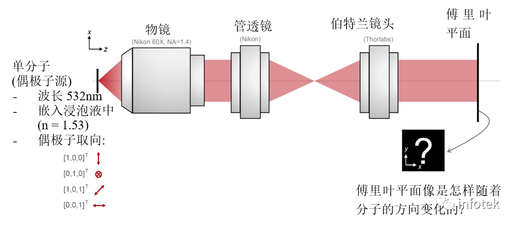 VirtualLab：高NA傅里葉單分子成像顯微鏡的圖2