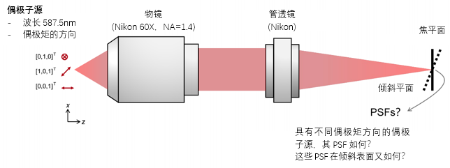 VirtualLab：高NA顯微鏡系統分析偶極子源的PSF的圖2