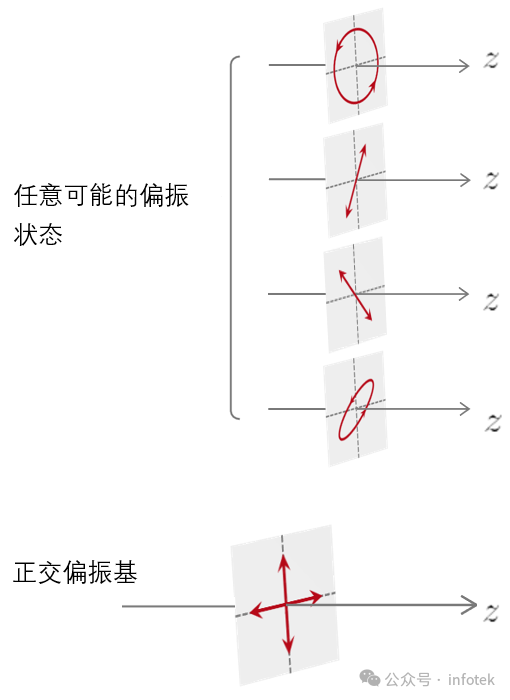 VirtualLab：用于光柵仿真的非偏振光的圖2