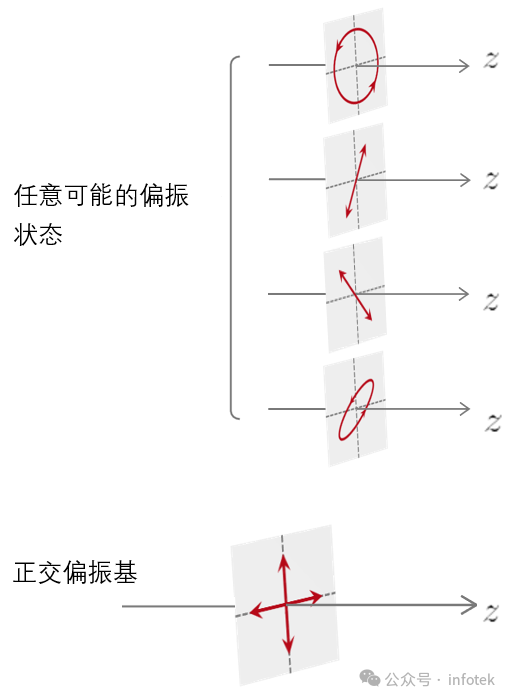 VirtualLab：用于光栅仿真的非偏振光的图2