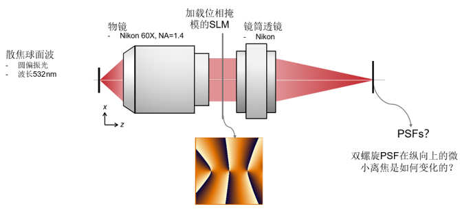 VirtualLab：用于3D成像顯微鏡的雙螺旋PSF的圖2