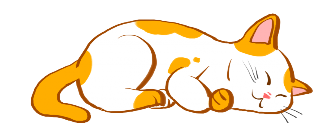 当你上班的时候猫在干什么