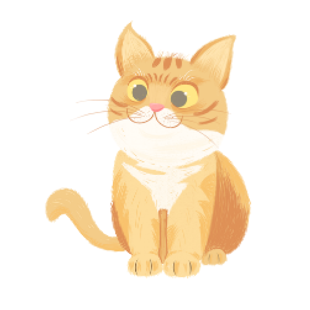 当你上班的时候猫在干什么