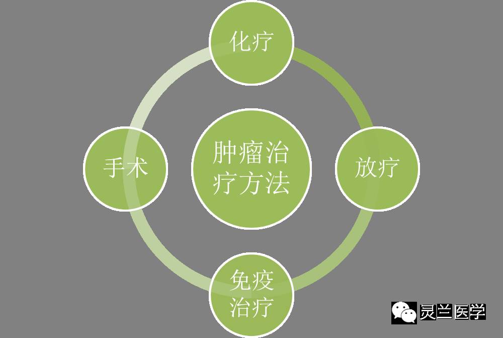 肿瘤免疫治疗来自科普中国