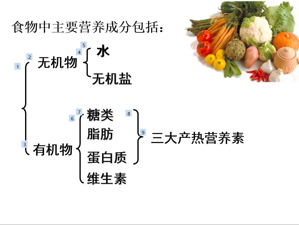 新川综合课程上线，以艺战“疫”为爱发力