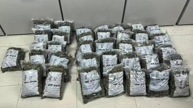 Beijing Transit Drug Smuggling ： 70kg Cannabis, 8-Year Prison Sentence