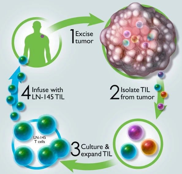 AACR: 挑戰PD-1耐藥, TIL療法讓腫瘤消失; 肺癌患者又有新藥, 有效率43% 健康 第2張