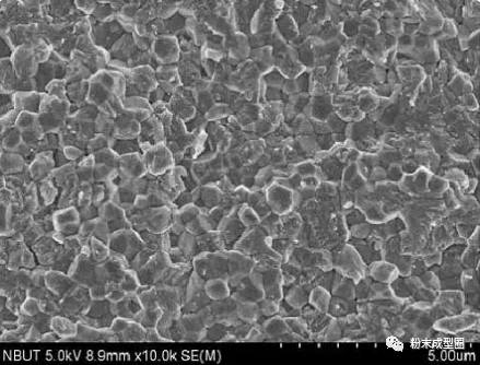 图sps烧结的无添加剂的晶粒均匀的氧化锆陶瓷扫描图