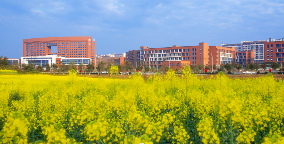 宜春中考查分網(wǎng)站登錄_2024年宜春中考成績(jī)查詢_中考成績(jī)查詢江西宜春2021