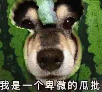 務必握緊錢包跟G胖合影!KO掉GTA5/怪獵/吃雞!發售僅6天榮登Steam熱銷榜頂!大作科隆閉門演示遭曝光 遊戲 第16張-尋夢遊戲 務必握緊錢包跟G胖合影!KO掉GTA5/怪獵/吃雞!發售僅6天榮登Steam熱銷榜頂!大作科隆閉門演示遭曝光 遊戲 第16張