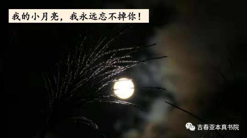 故乡教学反思简洁_月是故乡明教学反思_《故乡》的教学反思