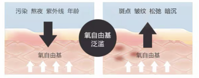 早C晚A和猜年齡一樣令人著迷，知道的人不見得都用得對 家居 第21張