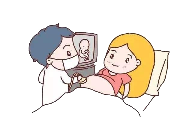 胎儿mt是什么检查什么疼吗妇幼科普  ｜  怀孕了，你明白“大排畸”“小排畸”等是什么意思吗？_https://www.jmylbn.com_新闻资讯_第5张