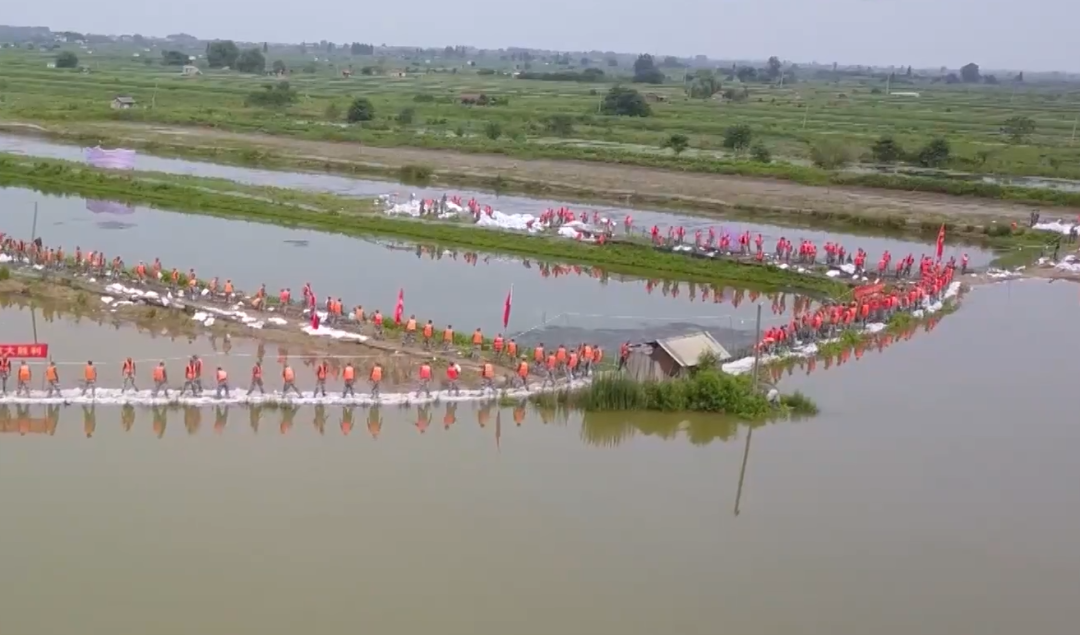 亚洲精品久久久久中文字幕二区