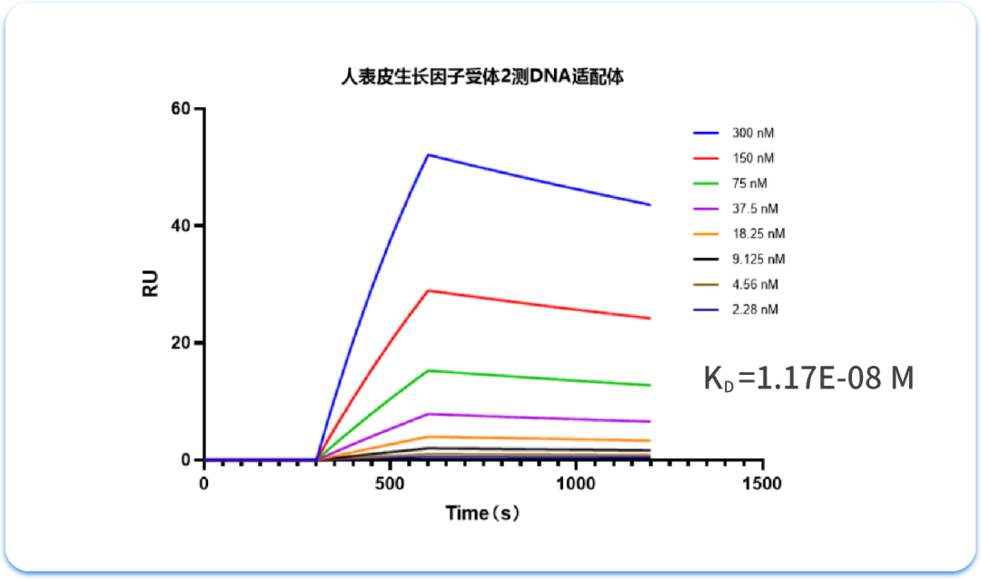 量準(zhǔn)SPR互作檢測服務(wù)：性價比為何如此之高？