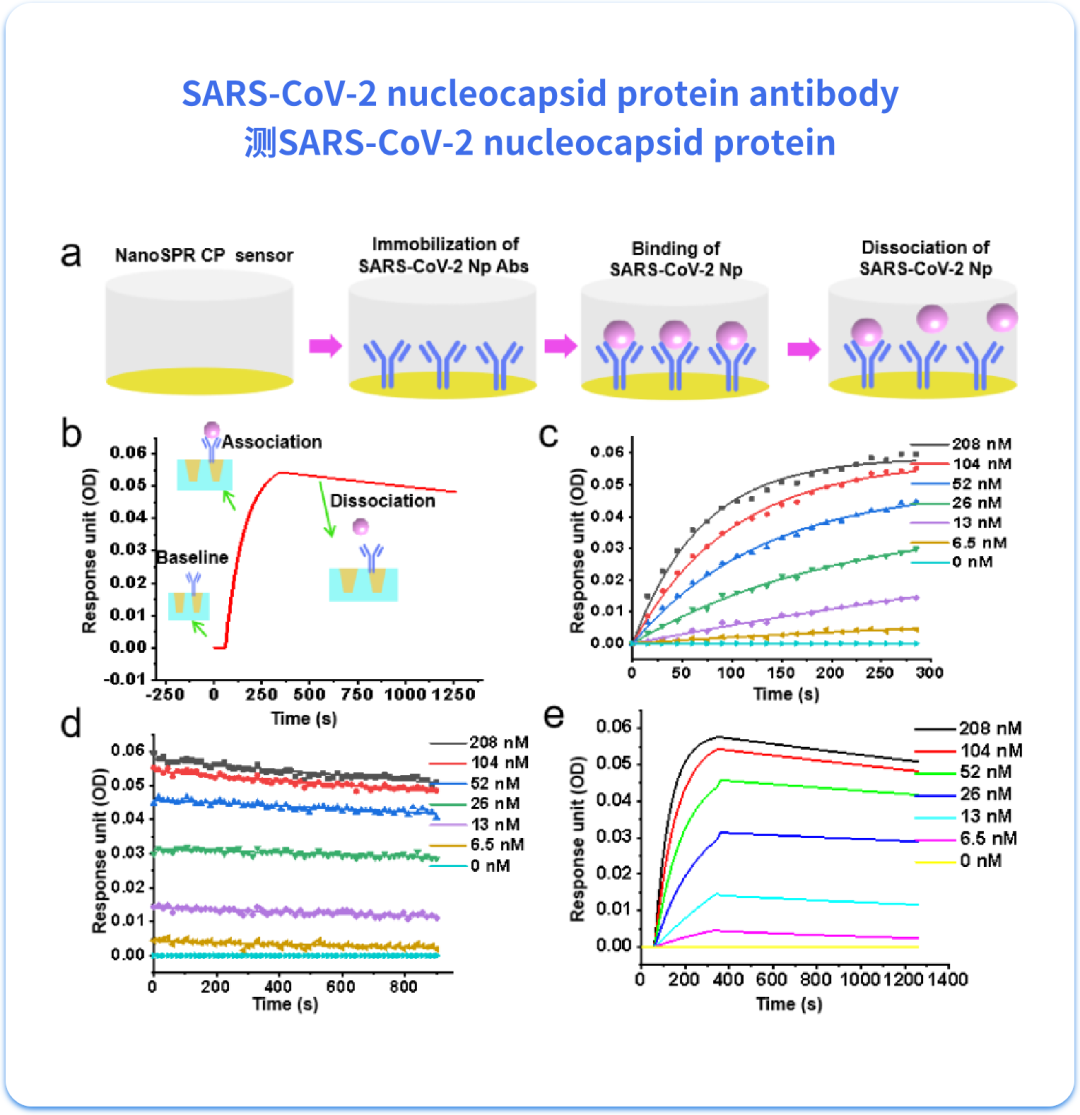 量準(zhǔn)SPR互作檢測服務(wù)：性價比為何如此之高？