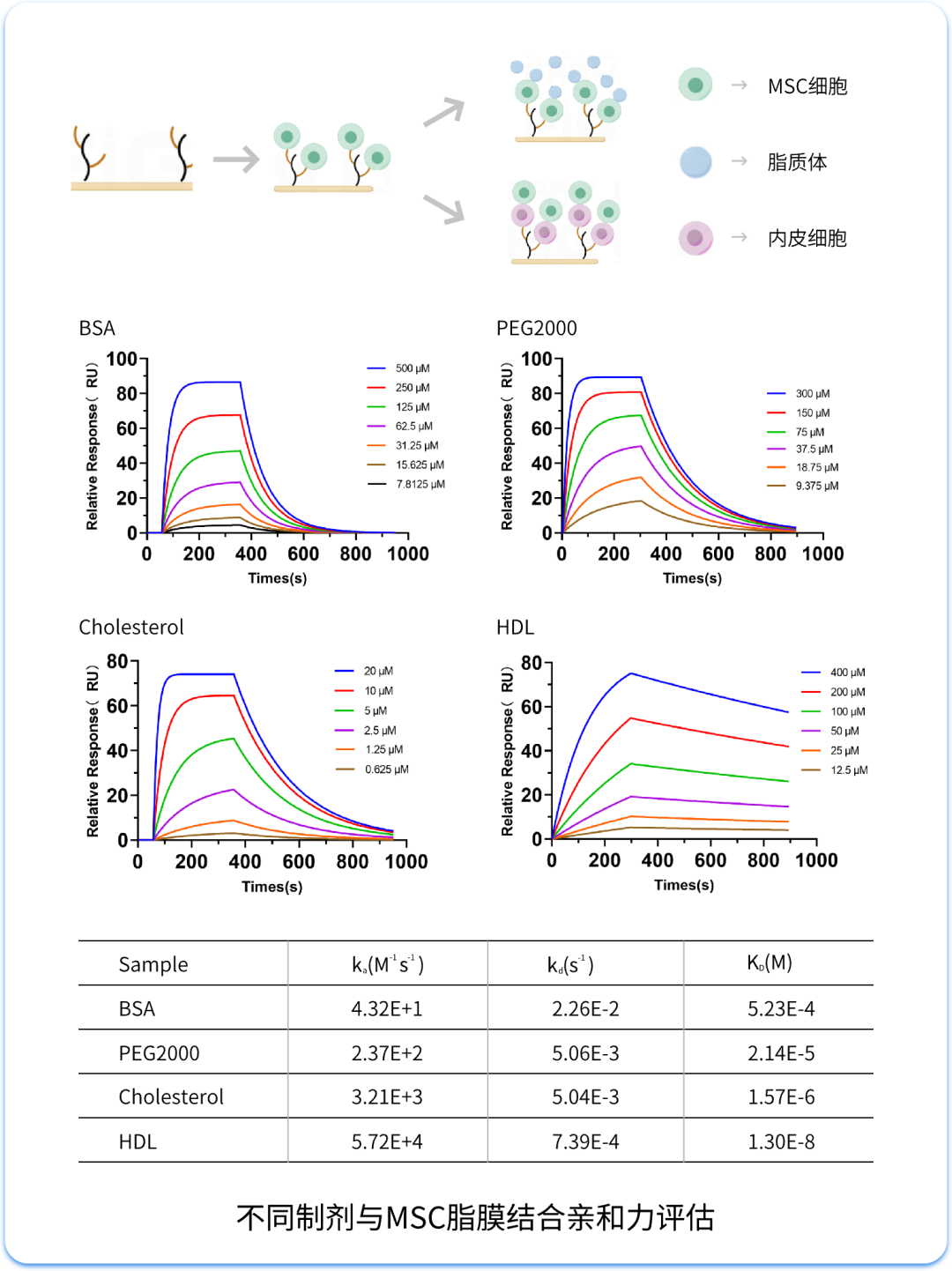 MetaSPR技術(shù)｜激發(fā)納米遞送新活力