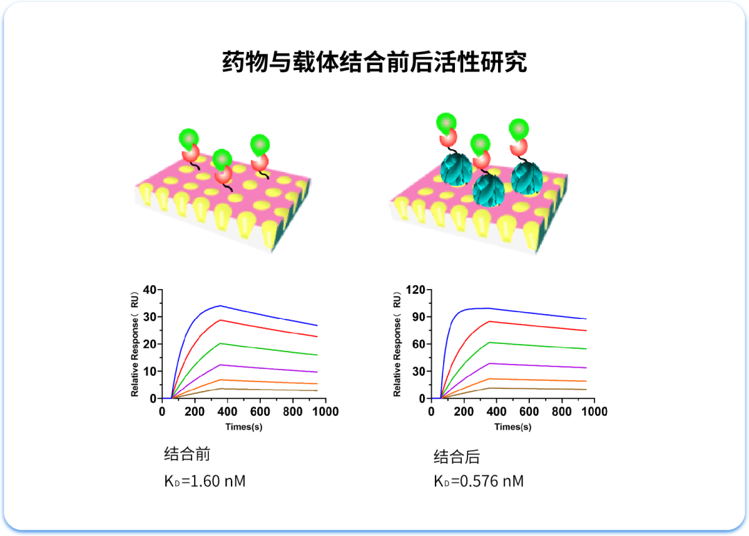 MetaSPR技術(shù)｜激發(fā)納米遞送新活力