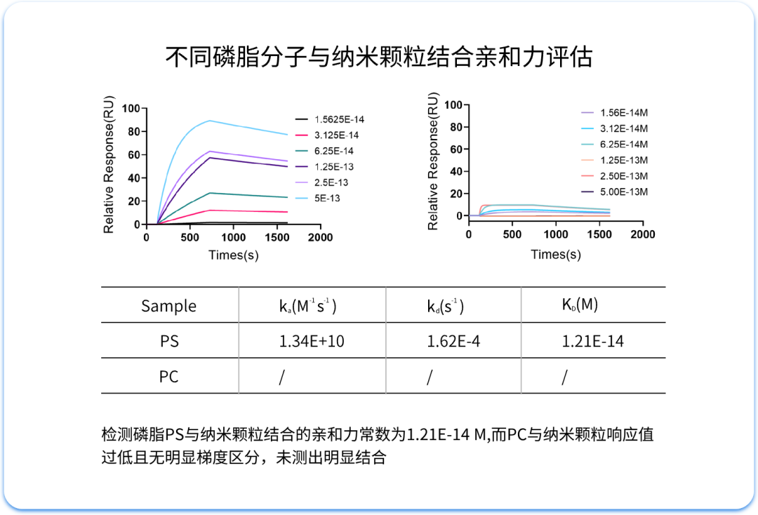 MetaSPR技術(shù)｜激發(fā)納米遞送新活力